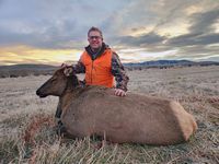 Matthew Cow Elk 2023